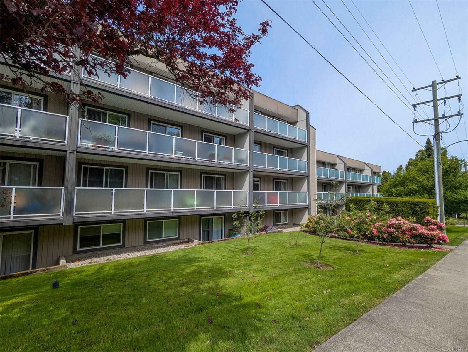 Property Photo:  3252 Glasgow Ave 405  BC V8X 1M2 