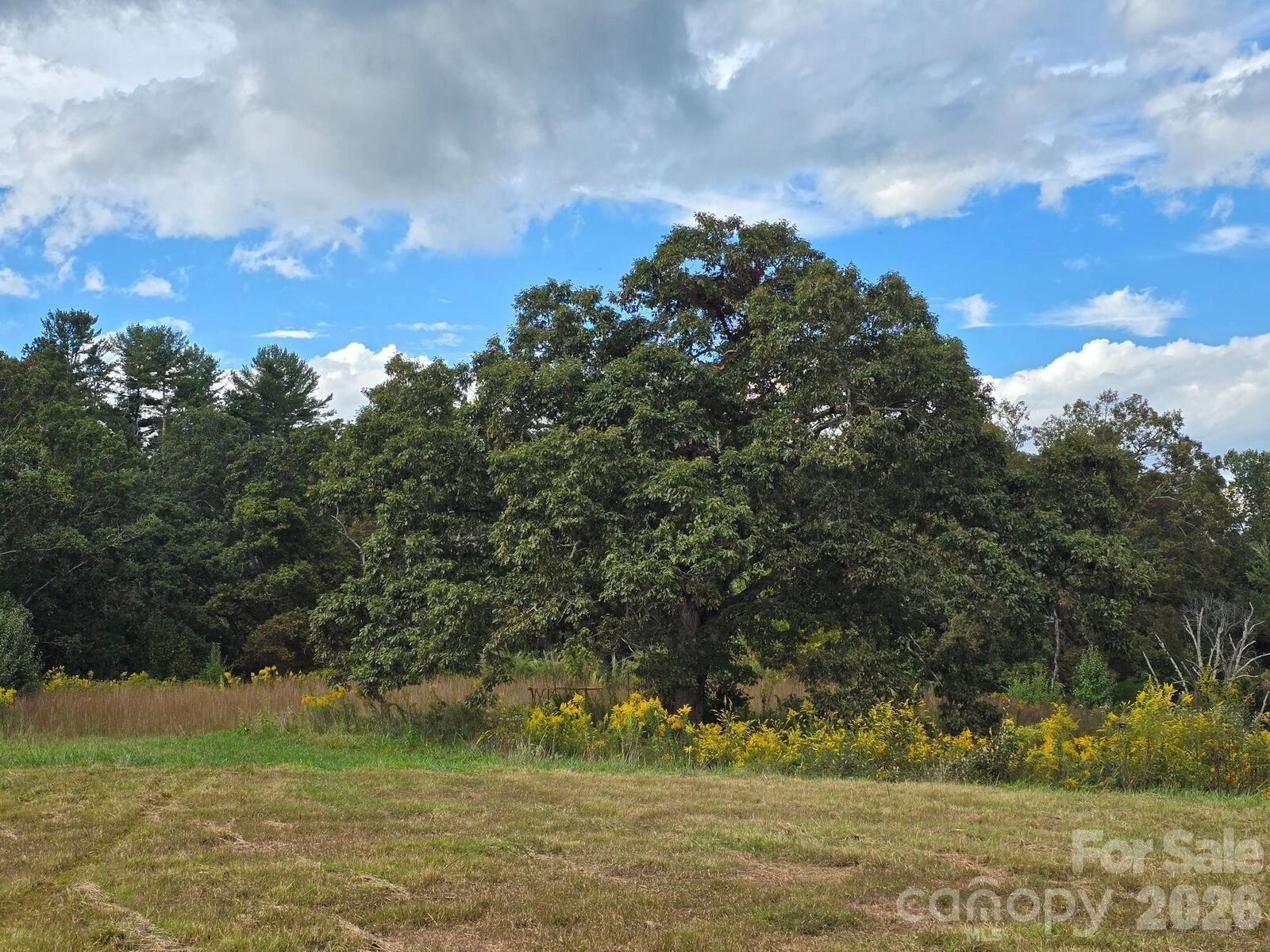 Property Photo: 000 Cook Lane 24.87 Acres NC 28759