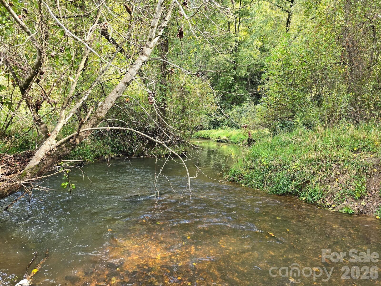 Property Photo:  000 Cook Lane 24.87 Acres  NC 28759 