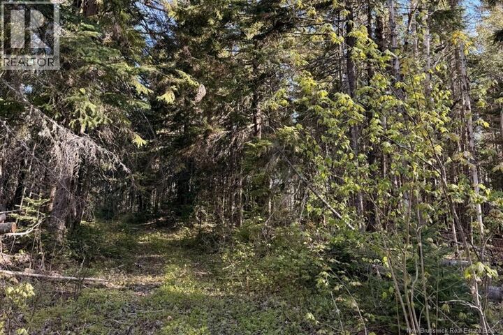 Property Photo:  Goshen Road  NB E4Z 2L4 