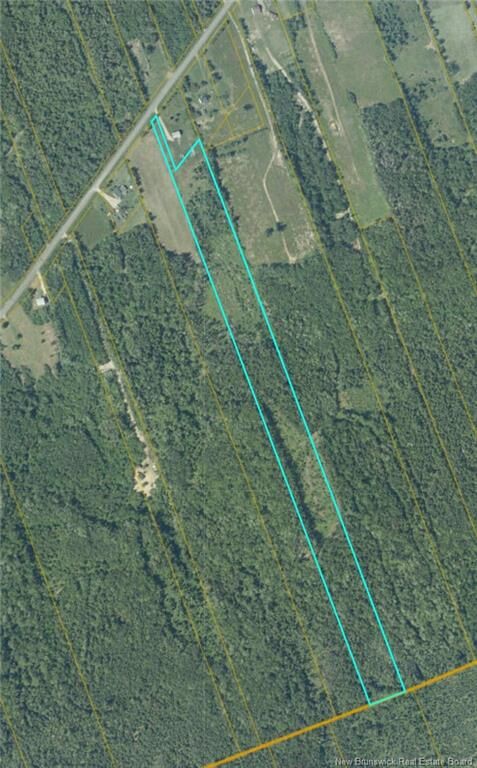 Property Photo:  11.4 Acres Ch Pinet  NB E1W 1L4 