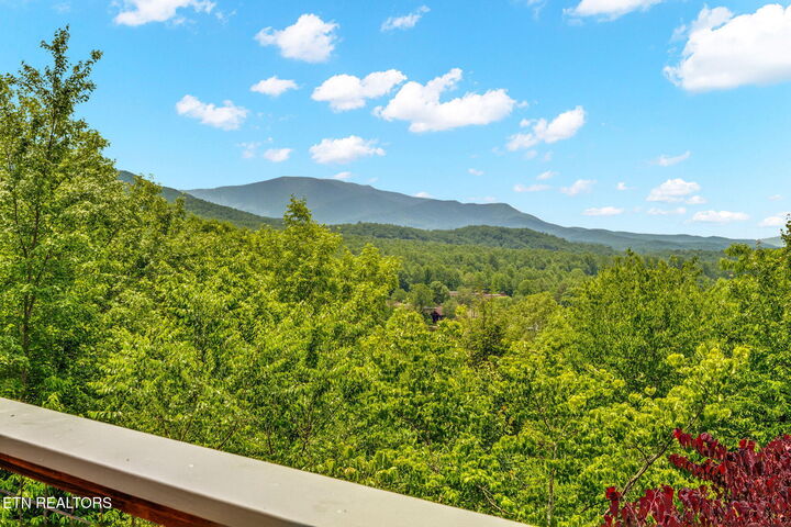 Property Photo:  347 Overview Drive  TN 37738 
