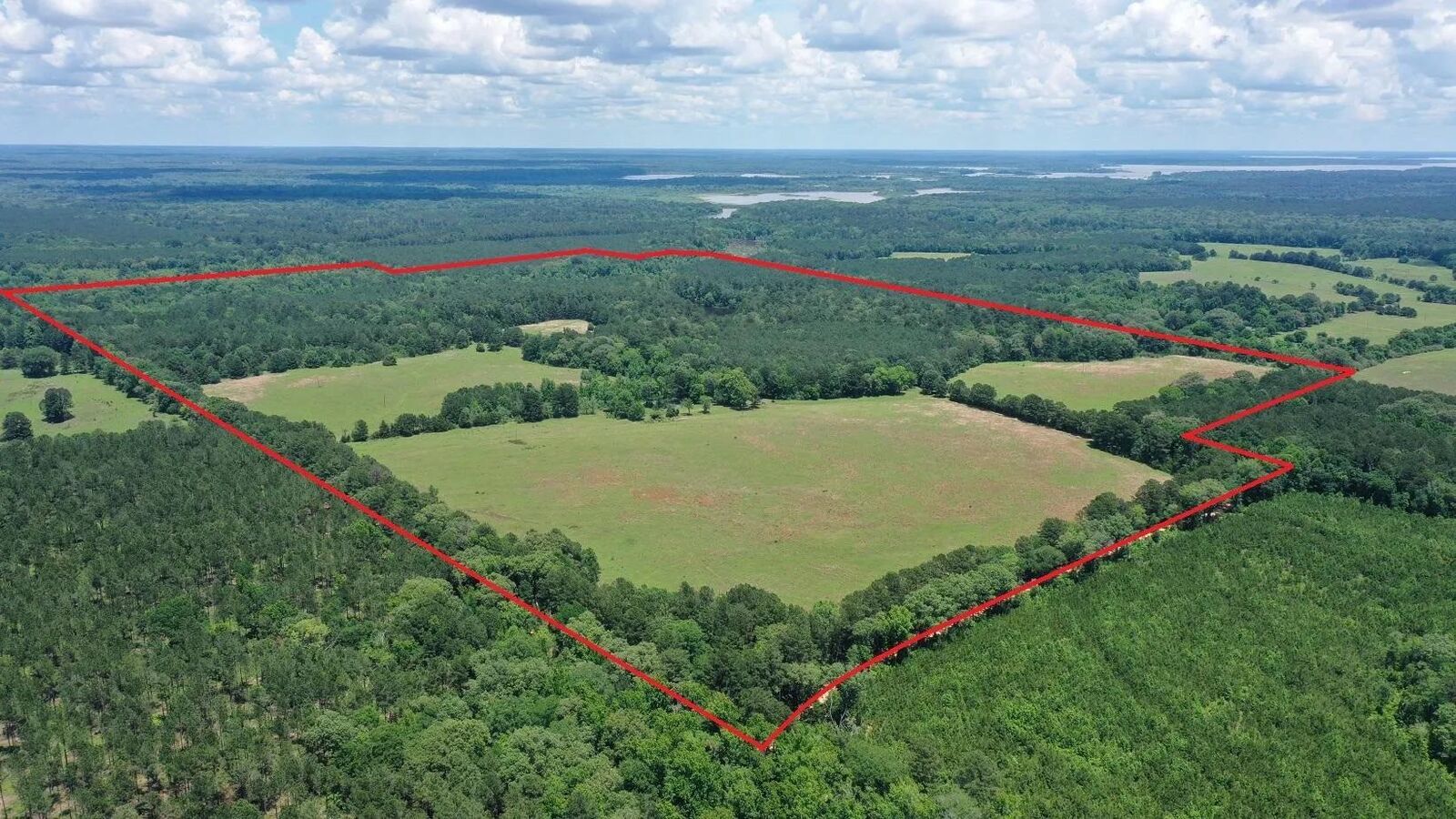 Property Photo:  295 County Road 2462  TX 75560 