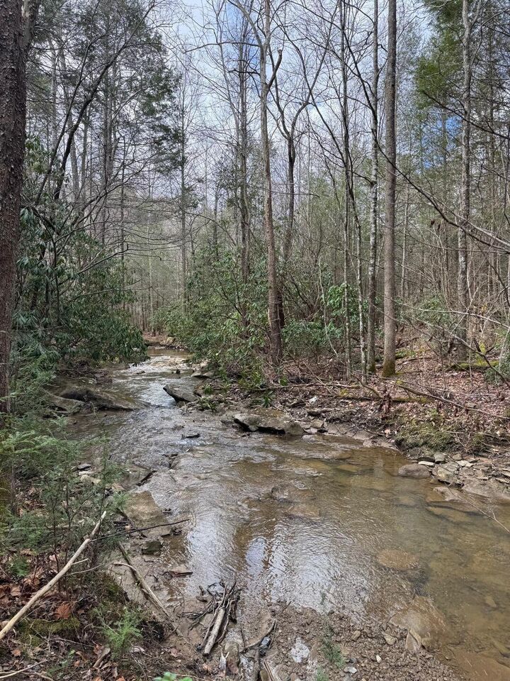 Property Photo:  0 Hwy 3484  KY 40977 