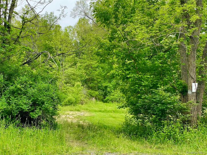 Property Photo:  Orchard Drive  NY 12568 