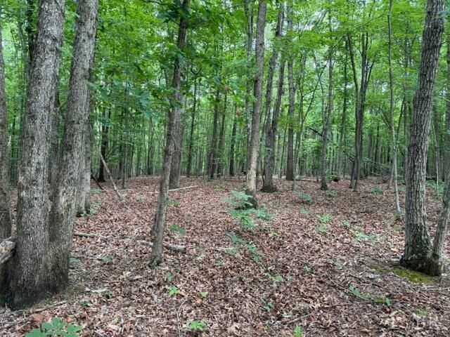 Property Photo:  2 Red Bird Drive  VA 24553 