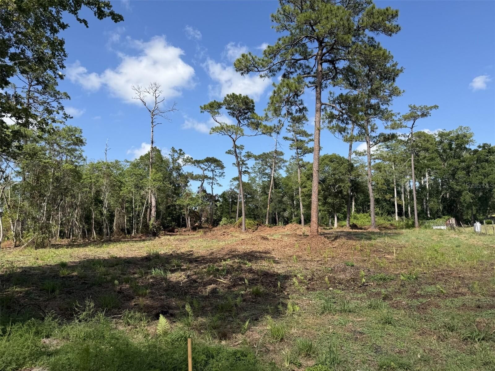 Property Photo: 1005 Juniper Drive FL 32709