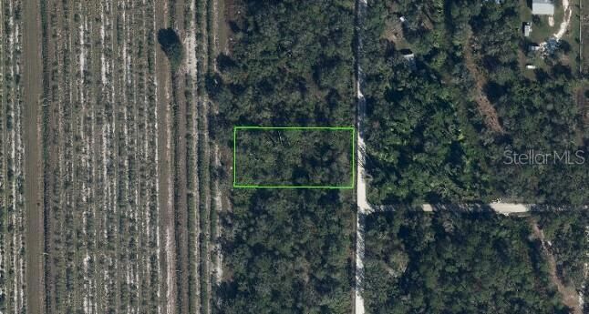 Property Photo: 486 Kulwicki Drive FL 33960