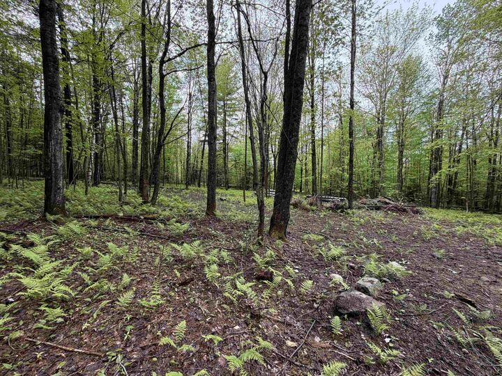 Property Photo:  114 Lewis Hill Road  NH 03574 