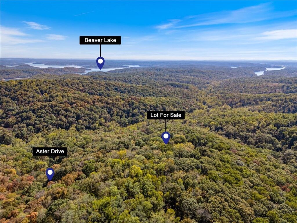 Property Photo:  Lot 262 Aster Drive  AR 72756 