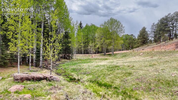 Property Photo:  42 Rabbit Circle  CO 80816 