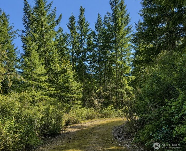 Property Photo:  7611 N Triton Heights Road  WA 98555 