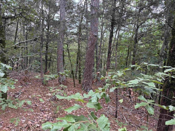 Property Photo:  1031 Old Dolph Road  AR 72519 