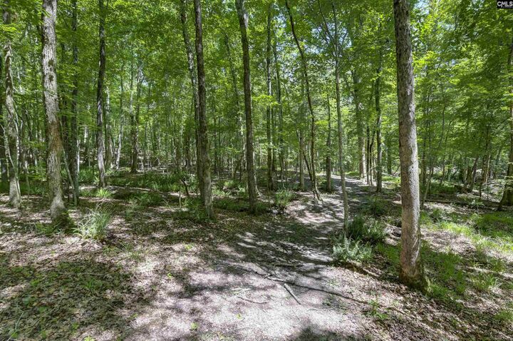 Property Photo:  Fulmer  SC 29016 