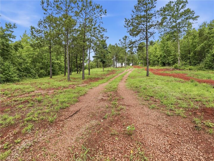 Property Photo:  2700 Lee Road 78  AL 36879 