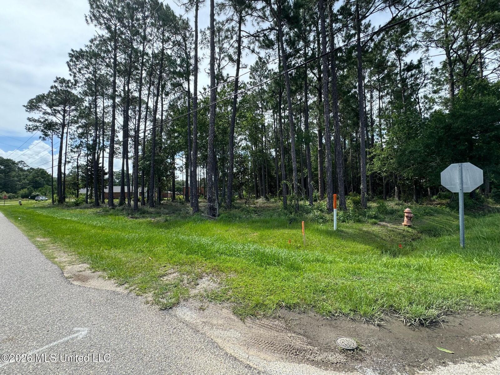 Property Photo:  Avenue B  MS 39576 