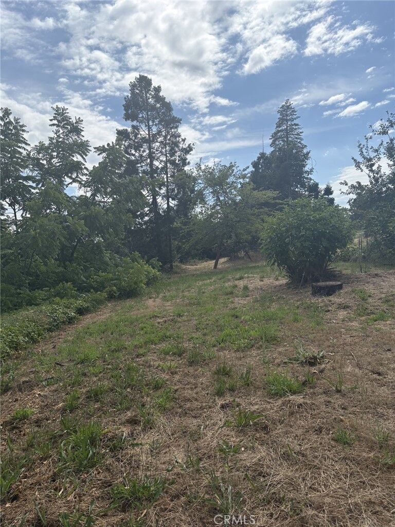 Property Photo:  380 Oak Spring  CA 95969 