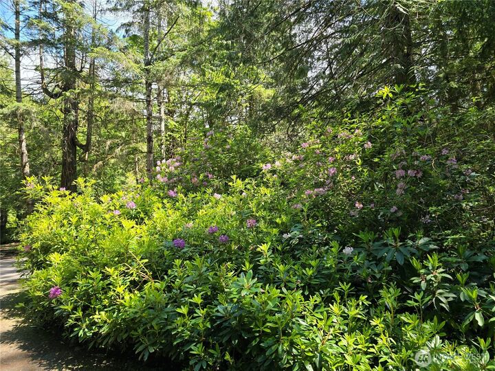 Property Photo: 704 E Promontory Road WA 98584
