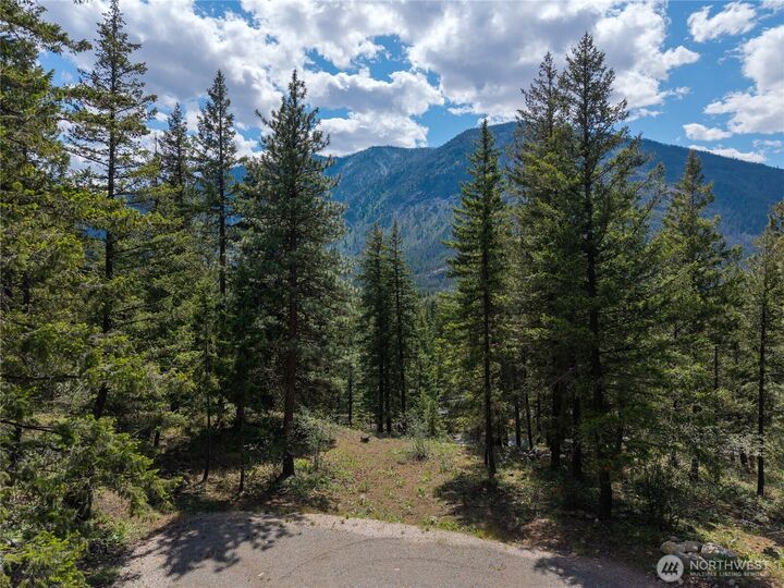 Property Photo:  6  Homestead Road  WA 98862 