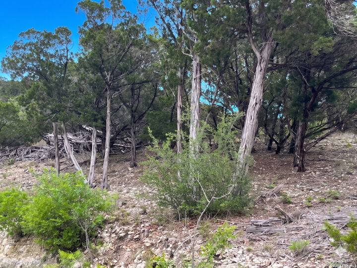 Property Photo: 370 Private Road 1742 TX 78056