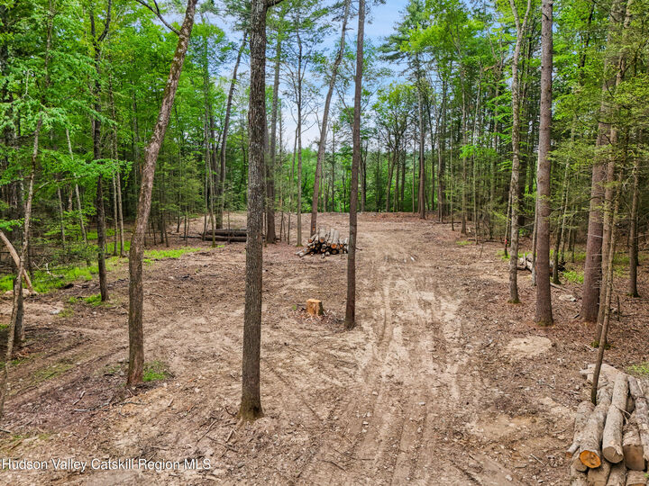 Property Photo:  209 Beaverkill  NY 12401 