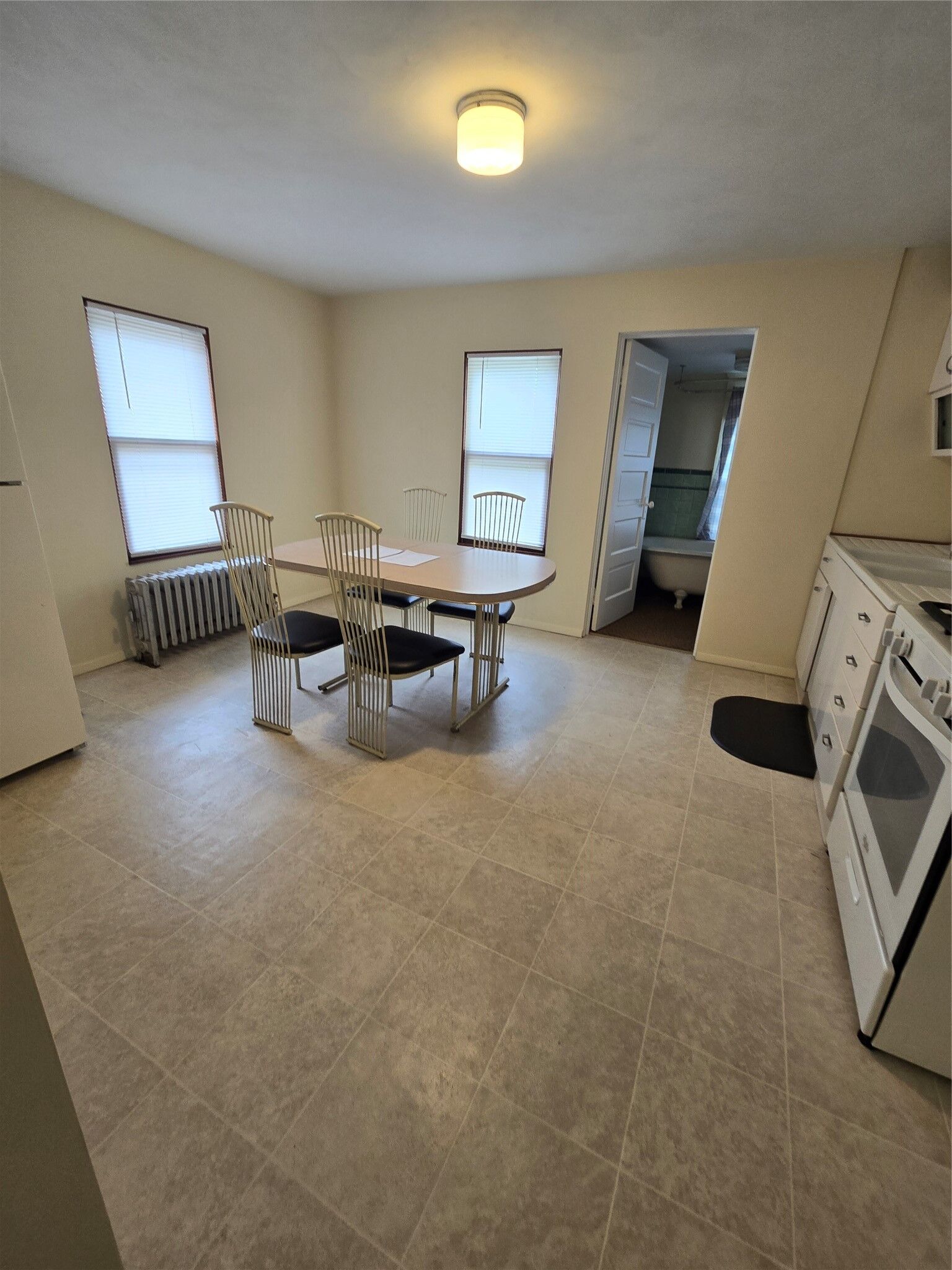 Property Photo: 219 Odell Avenue 2 NY 13760