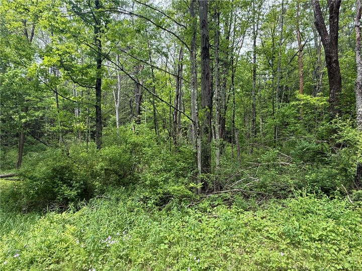 Property Photo: 00 Straw Hill Road NY 13734