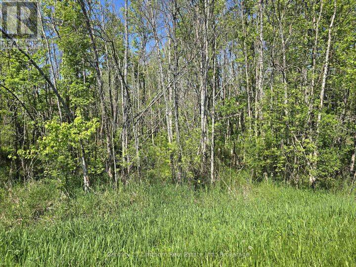 Property Photo:  00 Shannonville Road  ON K0K 1V0 