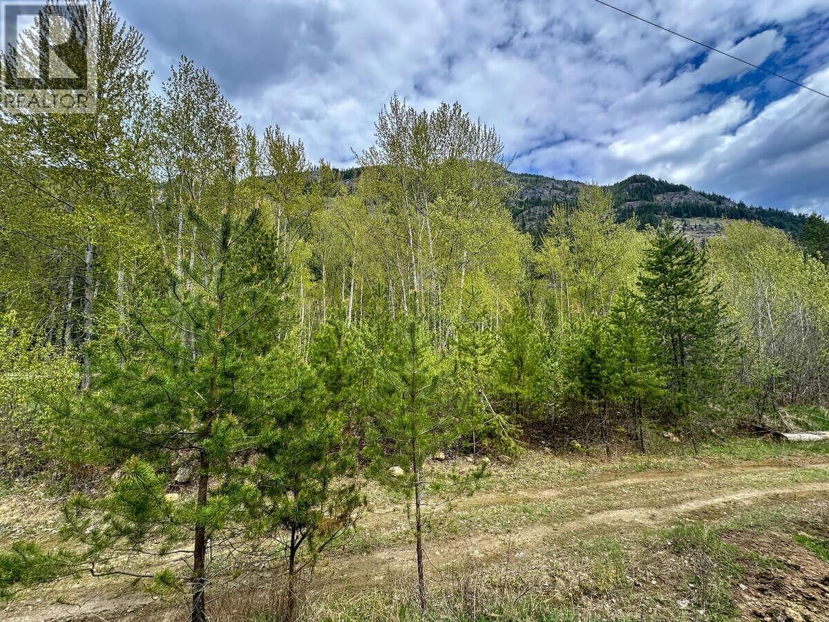 Property Photo:  Highway 6 Other  BC V0G 2E0 
