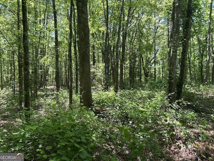 Property Photo:  0 Old Draketown Trail  GA 30179 