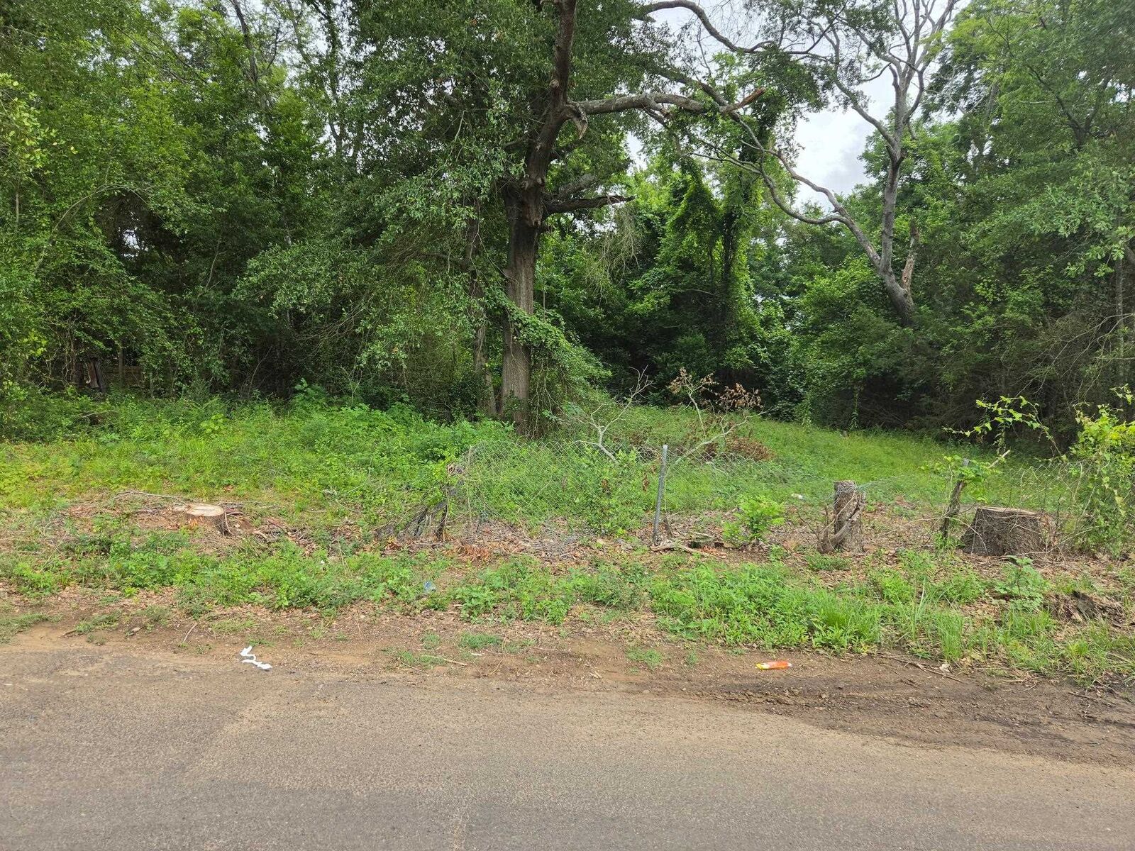 Property Photo: 715 Pecan TX 75601