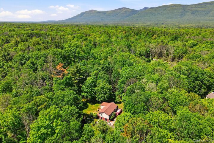 Property Photo:  13 Diamond Court  NY 12477 