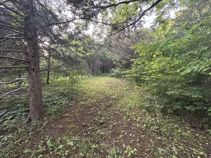 Property Photo:  000 Tazewell Highway  TN 37869 