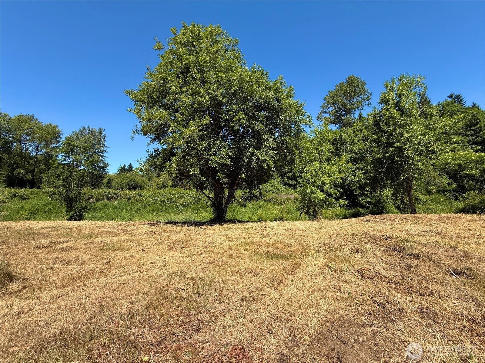 Property Photo:  102  Mocha Lane  WA 98531 