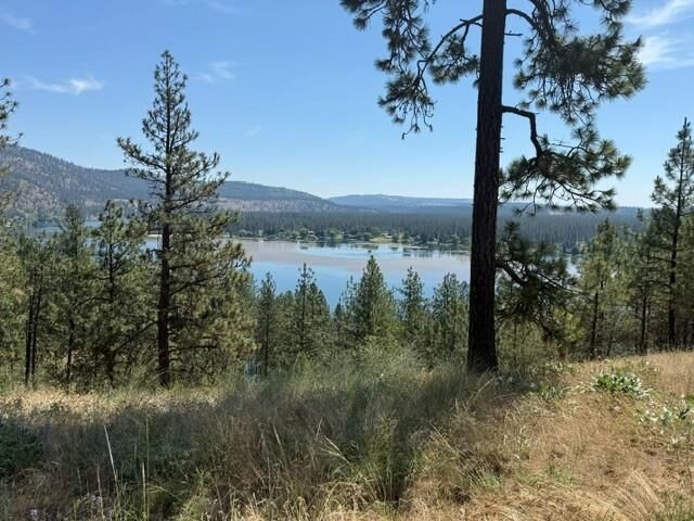 Property Photo: Lot 1 Long Lake Estates Est WA 99026