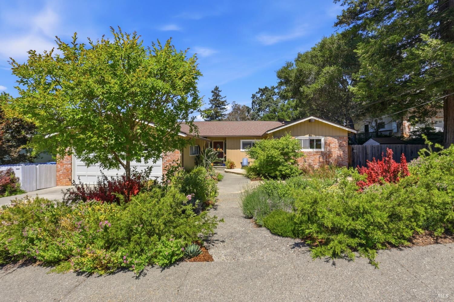 Property Photo: 3 Tilden Drive CA 94947
