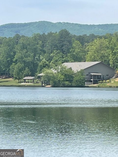 Property Photo:  Lot 13 Woodbrier  GA 30571 