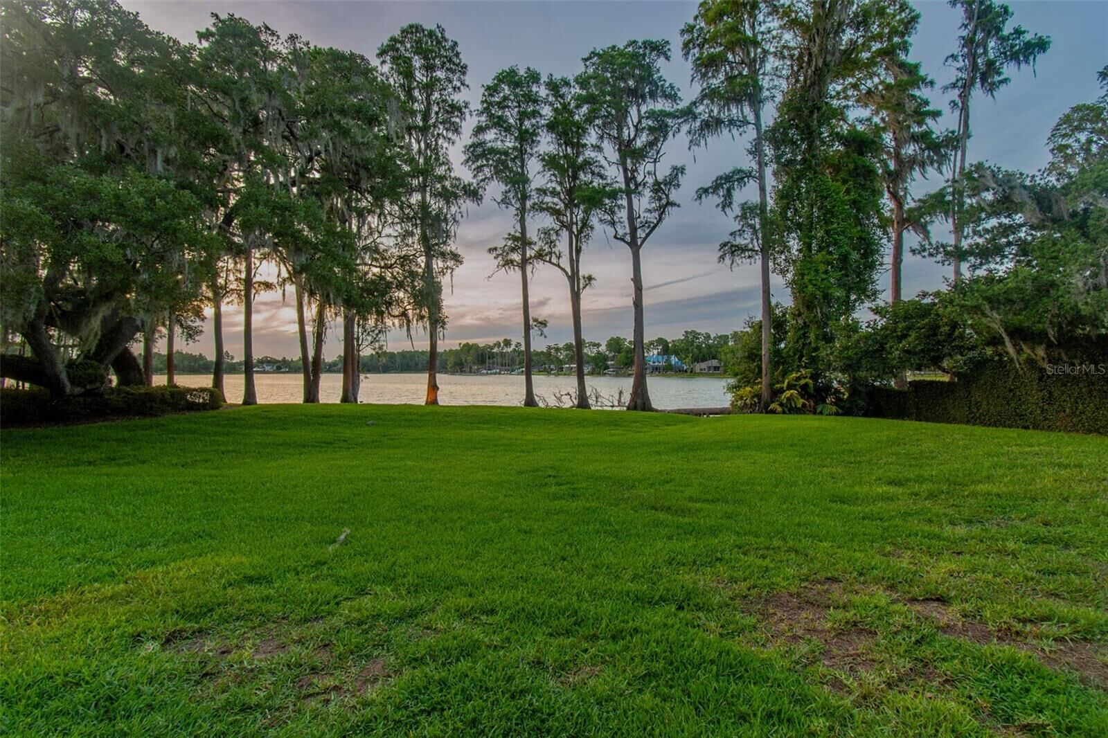 Property Photo: 3133 Lake Ellen Drive FL 33618