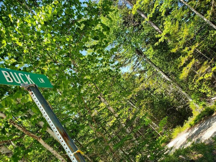 Property Photo:  0 Spruce Mountain Lake  ME 04622 