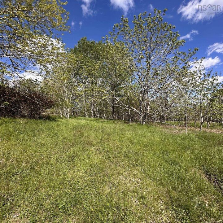 Property Photo:  Lot 70130604 Wellington Road  NS B0T 1E0 