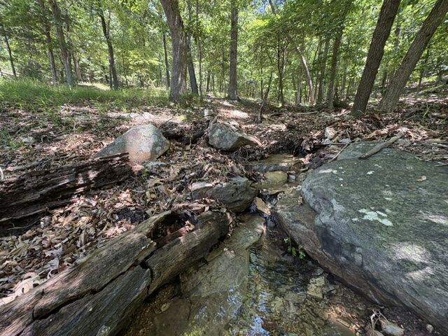 Property Photo:  Lots 23-25 Maple Drive  AR 72732 