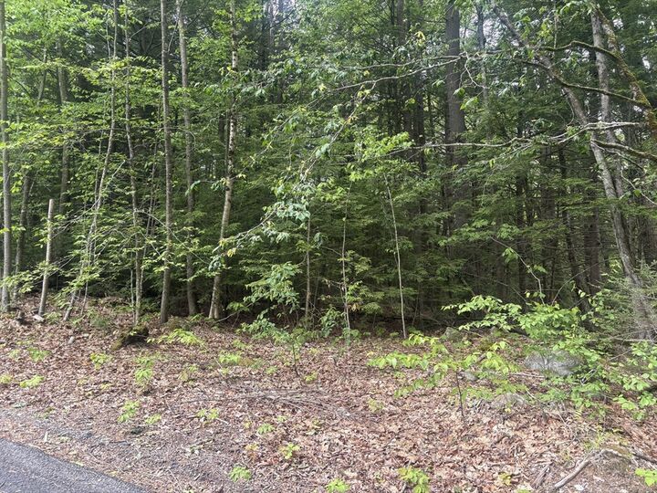Property Photo: 0 Gray Road MA 01468