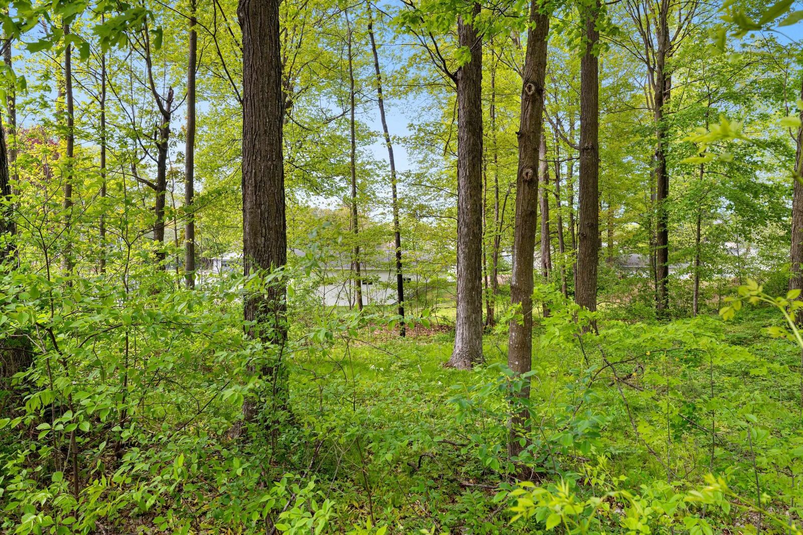 Property Photo: Vans Lane 13.1 WI 54205