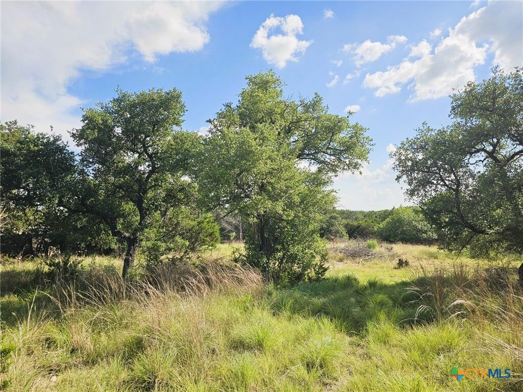 Property Photo:  100 Reavis Drive Drive  TX 76539 