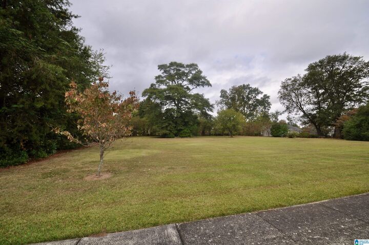 Property Photo:  Lot 1 SE 5th Avenue 1  AL 35055 