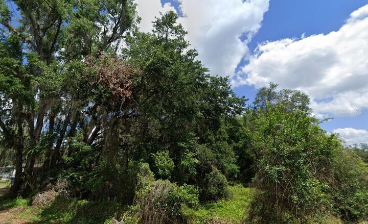 Property Photo:  NW 2nd  FL 33597 