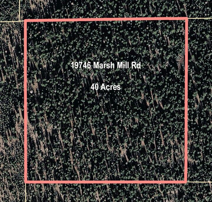 Property Photo:  19746 Marsh Mill Road  CA 95959 