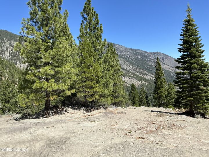 Property Photo: 2160 Genoa Heights Lane NV 89411