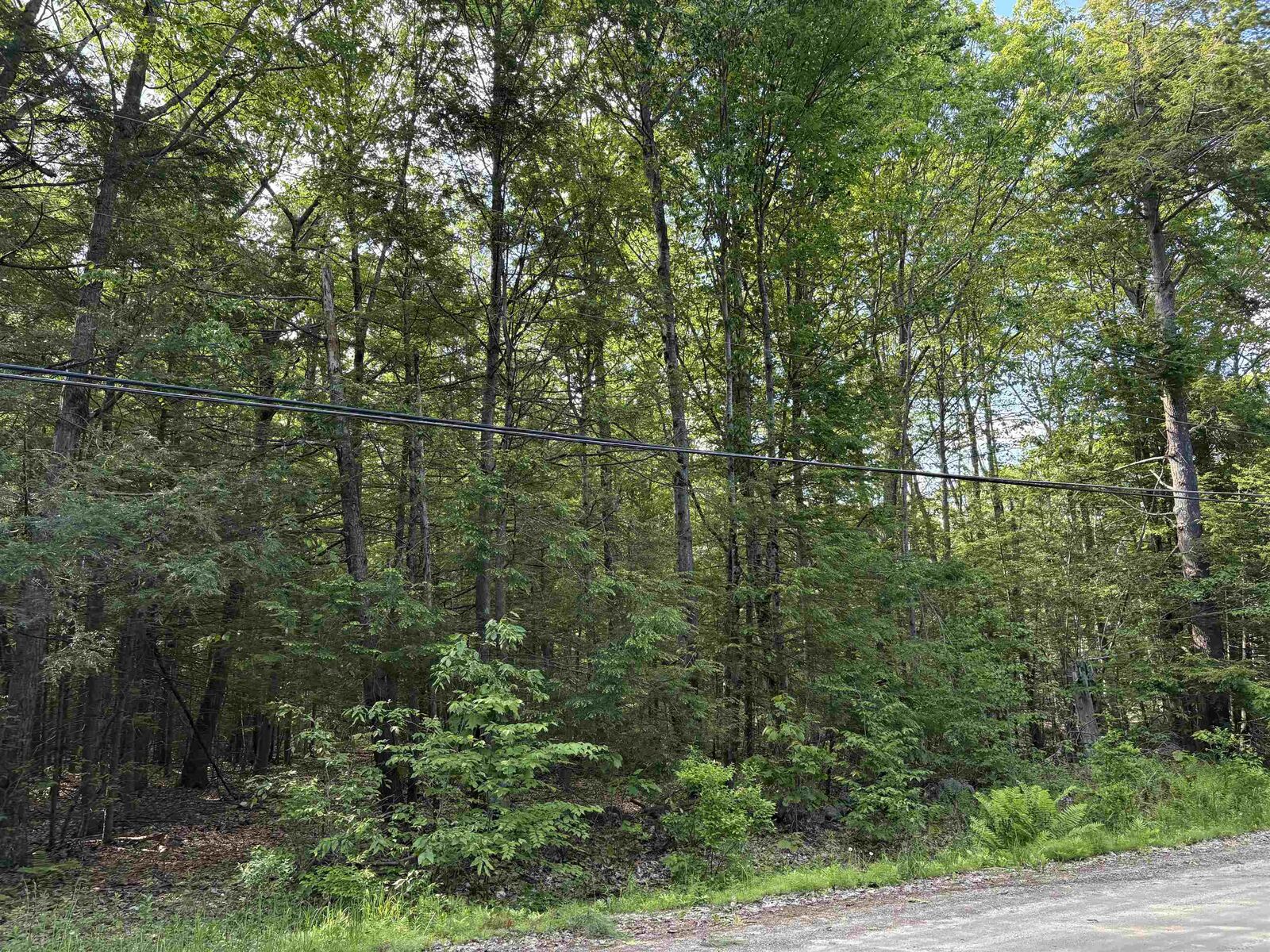 Property Photo: Lot 85 Currier Road NH 03034