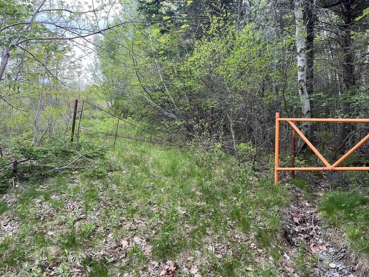 Property Photo:  Land Locust Street  NS B0J 1H0 
